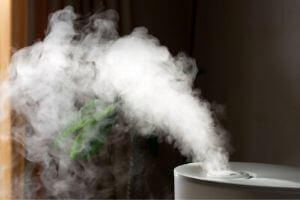 humidifier