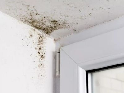 dehumidifier